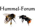 bombus.de Hummel-Forum