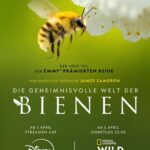 Die geheimnisvolle Welt der Bienen