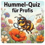 Hummelquiz