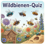 Hummelquiz