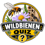 Wildbienen-Quiz